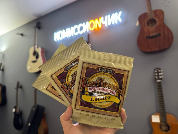 Ernie Ball 2004 Bronze Light