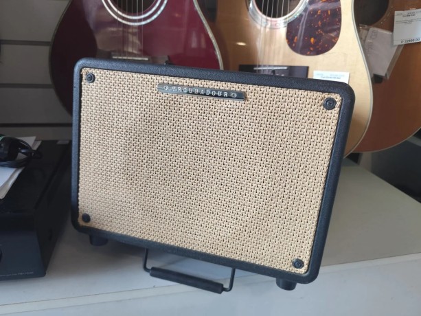 Ibanez T30-U Troubadour Acoustic Combo