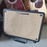 Ibanez T30-U Troubadour Acoustic Combo