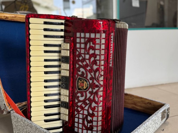 Royal Standard Montana  (120/12)