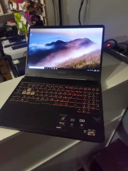 ASUS TUF Gaming FX505DT-BQ241T 6 ГБ 512 ГБ