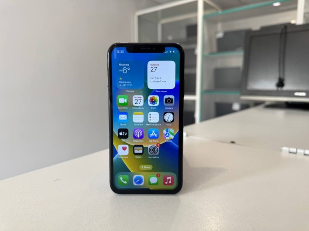 Apple iPhone X