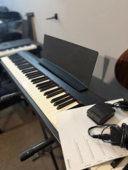 Roland Fp-30