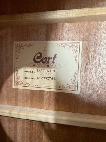 Cort Earth60-Op
