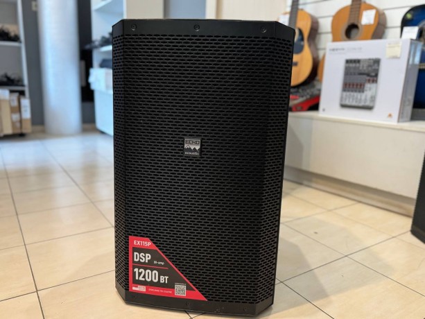 Echo Acoustic Ex115p