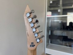 ESP Ltd Mh-50