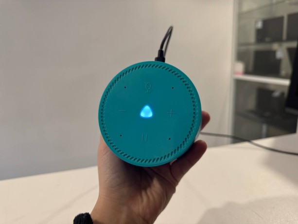 Яндекс Cтанция Лайт