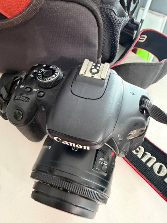 Canon D600