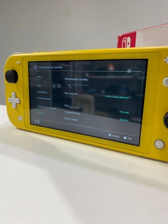 Nintendo Switch Lite