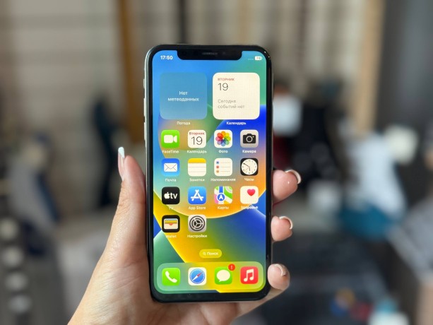 Apple iPhone X