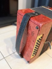 Ивушка Гармонь