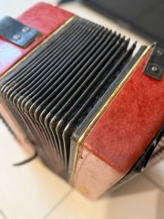 Ивушка Гармонь