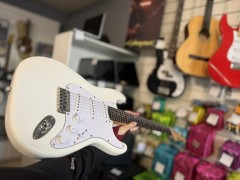 Aria Pro 2 Stag Series