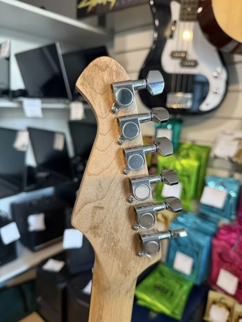 Aria Pro 2 Stag Series
