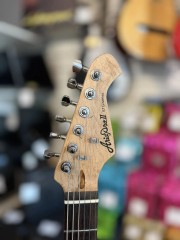 Aria Pro 2 Stag Series