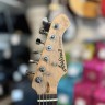 Aria Pro 2 Stag Series