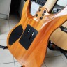 Schecter C-6 Pro Fr Arb