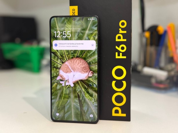 Xiaomi Poco F6 Pro