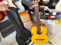 Fender Esc-110 Ns