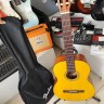 Fender Esc-110 Ns