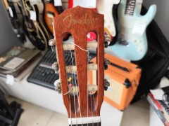 Fender Esc-110 Ns