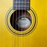 Fender Esc-110 Ns