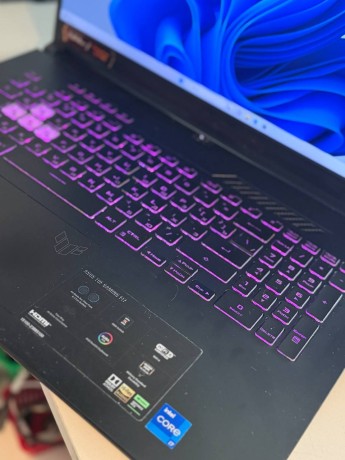 Asus Tuf Gaming F17 Fx707zc4-Hx009