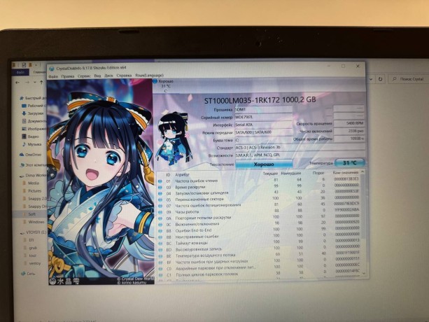 Asus Vivobook X556uq