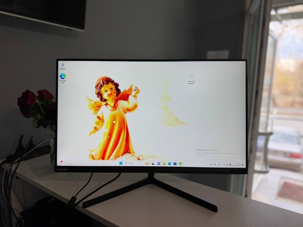 SunWind Sun-M24bg110