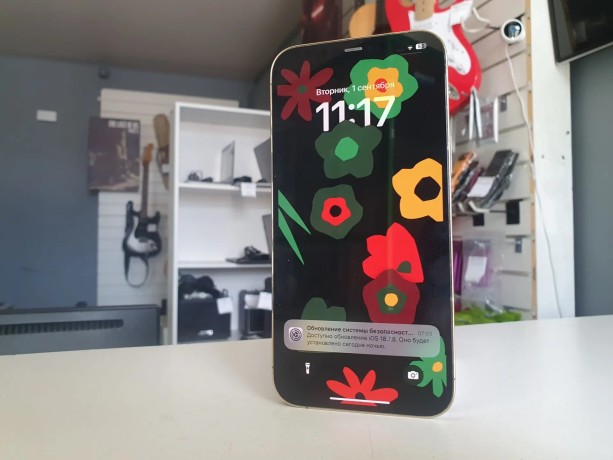 Apple iPhone 12 Pro Max