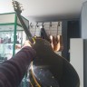 Gibson Les Paul Custom Black Copy
