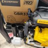 CHAMPION Gbr376