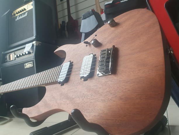 Ibanez Rg-421 Copy