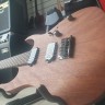 Ibanez Rg-421 Copy