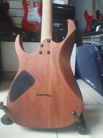 Ibanez Rg-421 Copy