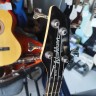 Washburn Xb100