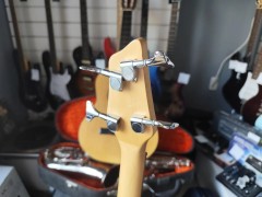 Washburn Xb100