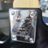 Washburn Xb100