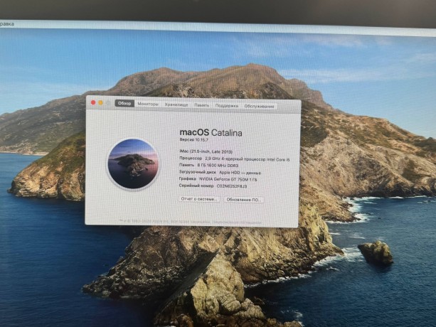 Apple iMac 21,5 2013