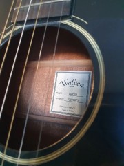Walden Cd350b