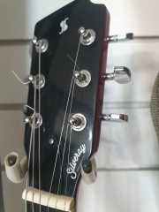 Stagg Silveray