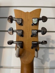 Schecter S-1