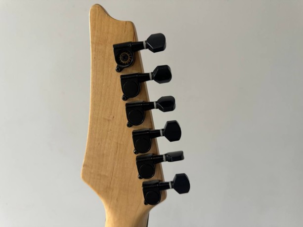 Ibanez Jem