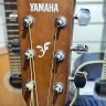 Yamaha  F310