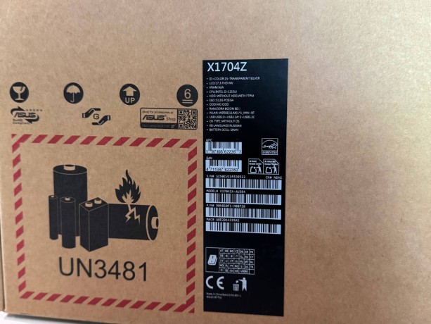 Asus Vivobook 17 X1704z