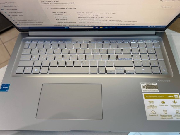 Asus Vivobook 17 X1704z