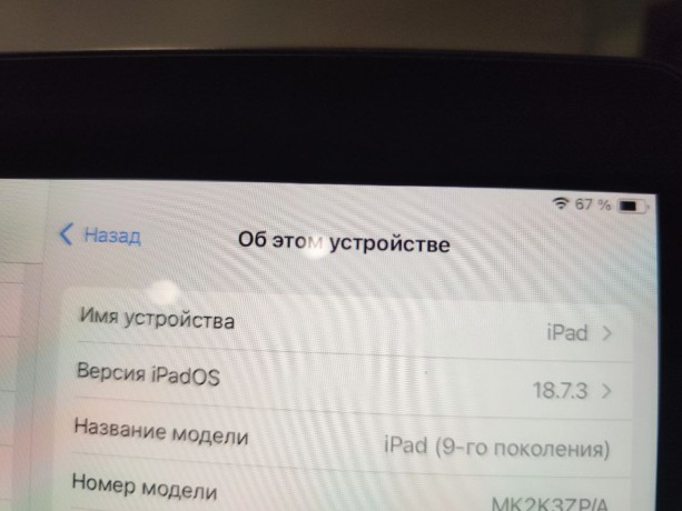 Apple iPad 9