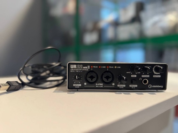 Steinberg Ur22 Mk2(Mkii)