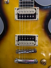 Stagg  Sel-Zeb-2Ts