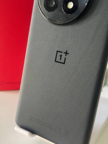 OnePlus 13